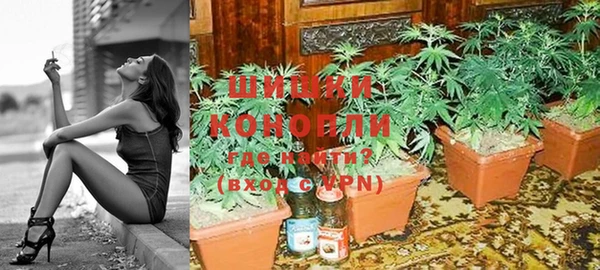 PSILOCYBIN Баксан