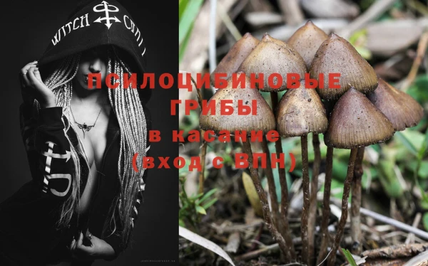 PSILOCYBIN Баксан