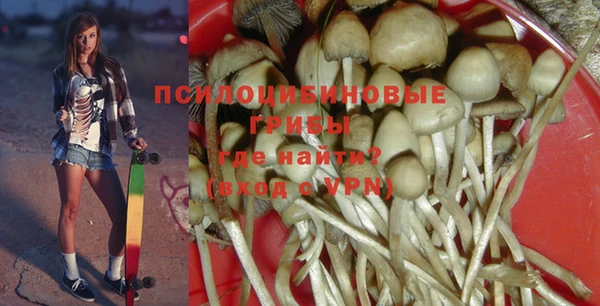 СК Балахна