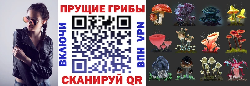 Галлюциногенные грибы GOLDEN TEACHER  наркота  сайты даркнета состав  Макарьев 
